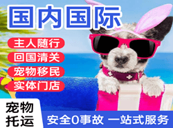 温州空运国际宠物托运 【国