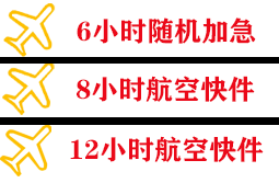 温州空运快递公司,专业空运当天件
